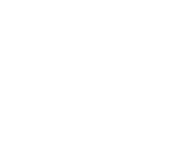 100 Challenger